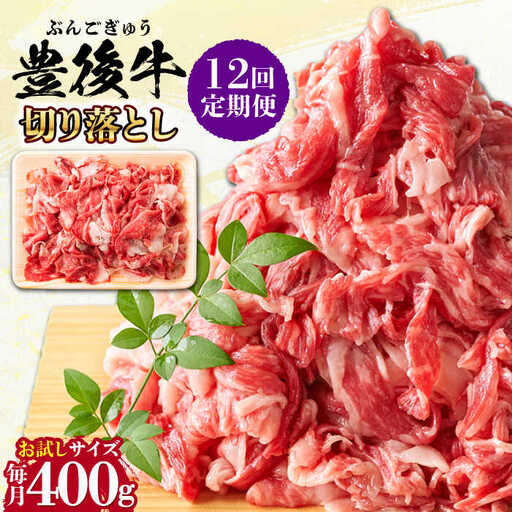 【全12回定期便】【お試しにピッタリ！】 おおいた豊後牛 牛肉 切り落とし 400g 牛肉切り落とし 豊後牛[AREI040]