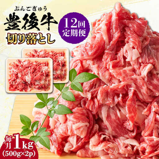 [全12回定期便][ 小分けで便利!]おおいた豊後牛 牛肉 切り落とし 1kg (500g×2) 牛肉切り落とし 豊後牛[AREI046]
