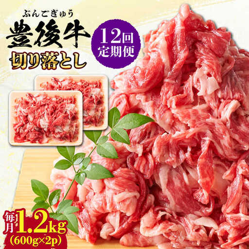 【全12回定期便】【大容量パック！】 おおいた豊後牛 牛肉 切り落とし 1.2kg (600g×2)  牛肉切り落とし 豊後牛[AREI049]
