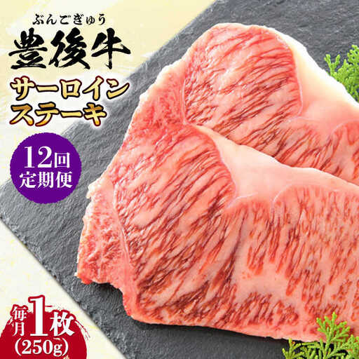 【全12回定期便】おおいた豊後牛 サーロインステーキ 250g (250g×1枚) サーロインステーキ [AREI055]
