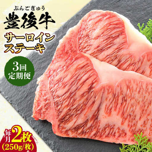 【全3回定期便】おおいた豊後牛 サーロインステーキ 500g (250g×2枚)  サーロインステーキ[AREI056]