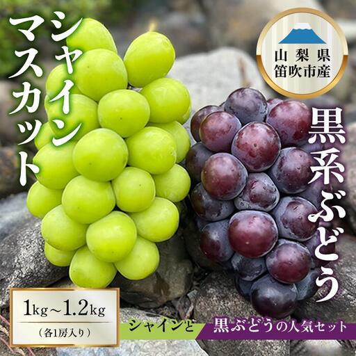 【2026年発送★先行予約】シャインマスカット×黒系ぶどう1kg～1.2kg ※クール便　154-045-26y