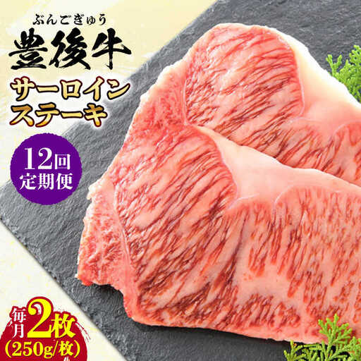 【全12回定期便】おおいた豊後牛 サーロインステーキ 500g (250g×2枚) サーロインステーキ [AREI058]