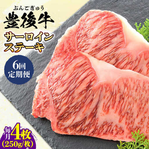 【全6回定期便】おおいた豊後牛 サーロインステーキ 1kg (250g×4枚) サーロインステーキ[AREI060]