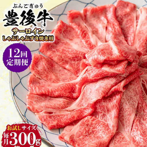 【全12回定期便】【厳選部位】おおいた豊後牛 サーロイン しゃぶしゃぶすき焼き用 300g 日田市 黒毛和牛 サーロイン 牛肉 豊後牛 しゃぶしゃぶ すき焼き [AREI082]