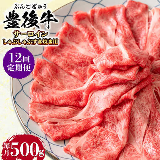【全12回定期便】【厳選部位】おおいた豊後牛 サーロイン しゃぶしゃぶすき焼き用 500g 日田市 黒毛和牛 サーロイン 牛肉 豊後牛 しゃぶしゃぶ すき焼き[AREI085]