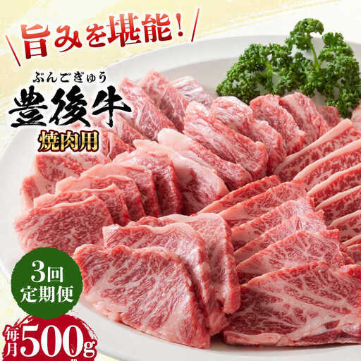 [全3回定期便]おおいた豊後牛 焼肉用 500g 赤身 モモ 焼肉 冷凍 豊後牛 BBQ [AREI098]