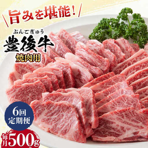 【全6回定期便】おおいた豊後牛 焼肉用 500g 赤身 モモ 焼肉  冷凍 豊後牛 BBQ[AREI099]