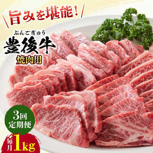 [全3回定期便]おおいた豊後牛 焼肉用 1kg(500g×2P) 赤身 モモ 焼肉 冷凍 豊後牛 BBQ [AREI101]