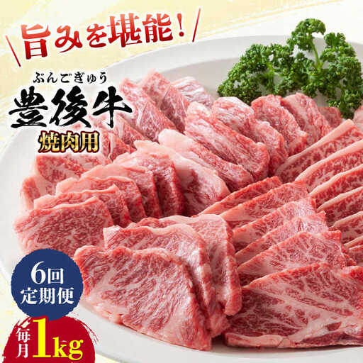 【全6回定期便】おおいた豊後牛 焼肉用 1kg(500g×2P) 赤身 モモ 焼肉  冷凍 豊後牛 BBQ [AREI102]