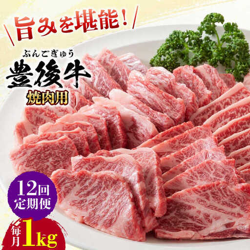 【全12回定期便】おおいた豊後牛 焼肉用 1kg(500g×2P) 赤身 モモ 焼肉  冷凍 豊後牛 BBQ [AREI103]