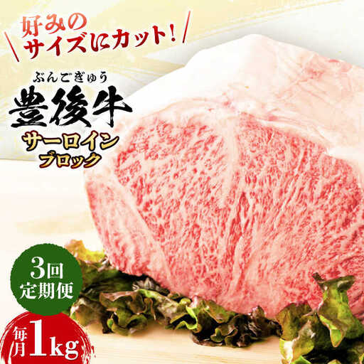 [全3回定期便][厳選部位]おおいた豊後牛 サーロイン ブロック 1kg 日田市 黒毛和牛 牛肉 サーロイン 豊後牛 サーロインブロック[AREI104]
