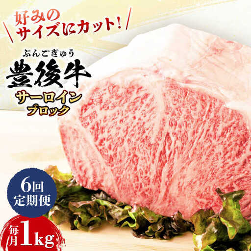 【全6回定期便】【厳選部位】おおいた豊後牛 サーロイン ブロック 1kg 日田市 黒毛和牛 牛肉 サーロイン 豊後牛 サーロインブロック [AREI105]