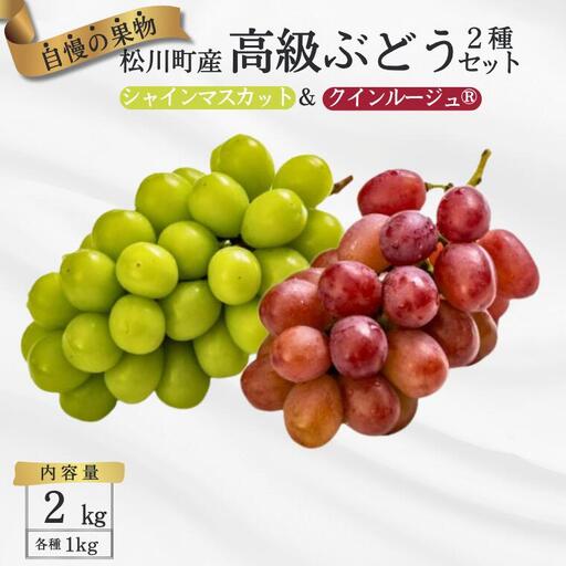 TK17　ぶどう２種セット（シャインマスカット／クイーンルージュ®）約2kg／2026年9月下旬頃～10月中 配送予定 // 長野県 南信州 種なし 皮ごと 詰め合わせ 食べ比べ 贈答 ギフト 新鮮 クインルージュ シャイン マスカット 葡萄