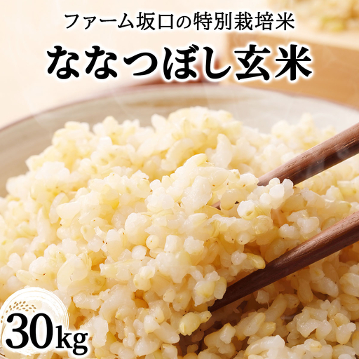 令和8年産！ファーム坂口の特別栽培米 ななつぼし玄米 30kg (30kg×1袋)