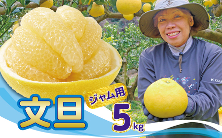 文旦 5kg 家庭用 小玉 文旦