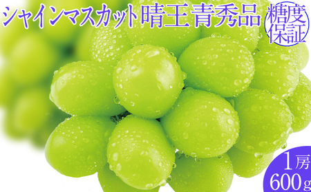 2026年予約受付中 シャインマスカット晴王 1房 約600g 7月〜8月出荷 人気 岡山県産 種無し 皮ごと食べる みずみずしい フレッシュ 晴れの国 おかやま 果物大国 ハレノフルーツ