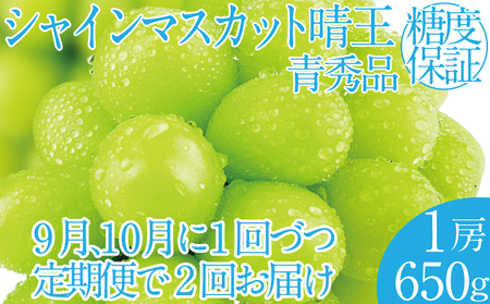 2026年 先行予約受付中[2回定期便]シャインマスカット晴王1房 約650g×2回 岡山県産 種無し 皮ごと食べる みずみずしい 甘い フレッシュ 瀬戸内 晴れの国 おかやま 果物大国 ハレノフルーツ