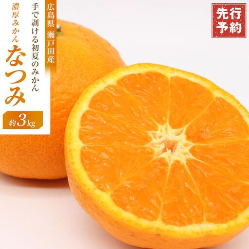 【先行予約】厚すぎるほど濃いみかん なつみ 3kg＜2027年4月上旬より発送開始＞