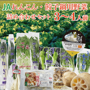 2026年9月より配送★ れんこん・餃子鍋用野菜詰め合わせセット!!(3〜4人前)(AE-115)