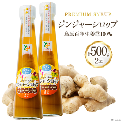 AI201 ジンジャー シロップ 250g 2本 計500g