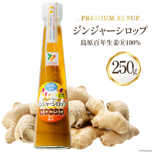 AI200 ジンジャー シロップ 250g 1本