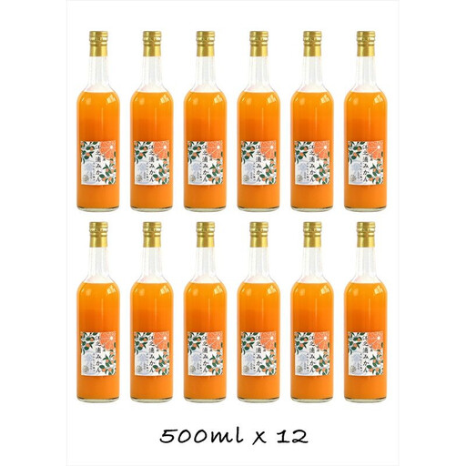 【定期便 3回】小田原産江之浦みかん１００％ストレートジュース５００ml１２本【みかんジュース みかんジュース 神奈川県 小田原市 】