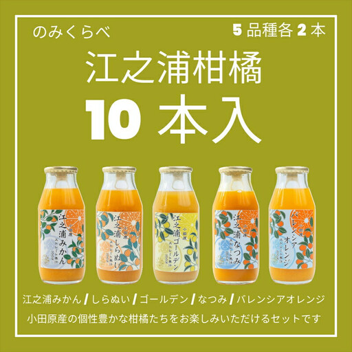 小田原産江之浦みかんジュース5種のみくらべ10本セット うんしゅう・しらぬい・ゴールデン・なつみ・バレンシアオレンジ100%ストレートジュース180ml各2本合計10本[みかんジュース みかんジュース 神奈川県 小田原市 ]