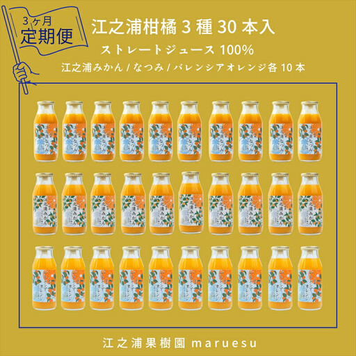 [定期便 3回] 小田原産江之浦みかんジュース3種のみくらべ30本セット うんしゅう・なつみ・バレンシアオレンジ100%ストレートジュース180ml各10本合計30本[みかんジュース みかんジュース 神奈川県 小田原市 ]