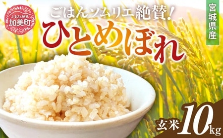 玄米 ひとめぼれ 10kg