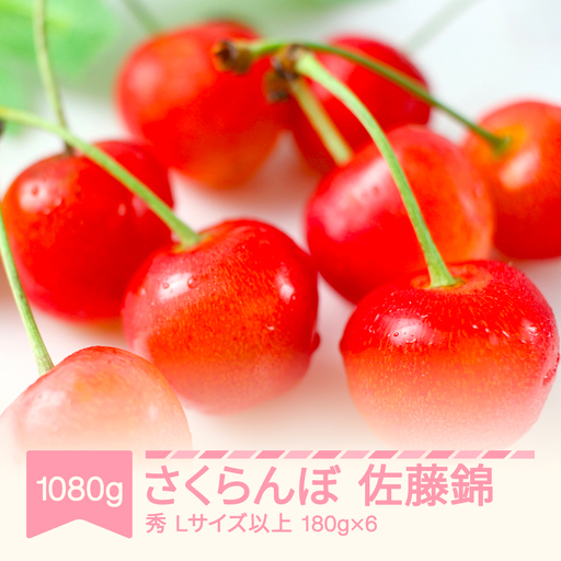 先行予約 さくらんぼ 佐藤錦 1080g(180g×6) 令和9年産 sb-snslx1200