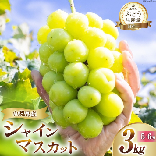 【2026年発送】シャインマスカット 予約 約 3kg 5～ 6房