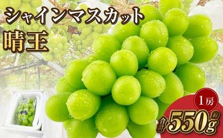岡山県産 シャインマスカット 晴王 1房 約550g[2026年9月上旬-10月下旬 発送予定]|種無し 皮ごと食べる フレッシュ 先行受付 ハレノフルーツ