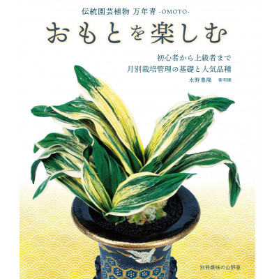 体験 観葉植物 おもと講座と植え替え体験 徳川家康公の運気を上げた縁起物 万年青付き