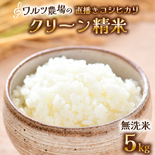 【先行予約】【令和8年産 新米】ワルツ農場の直播き コシヒカリ クリーン精米（無洗米） 5kg / お米 ご飯 白米 発送直前 精米 つや 艶 甘味 旨み あわら市産 福井県産 慣行栽培 コメ 北陸 福井県 あわら市 ※2026年10月下旬以降発送予定 [aw046-a007]