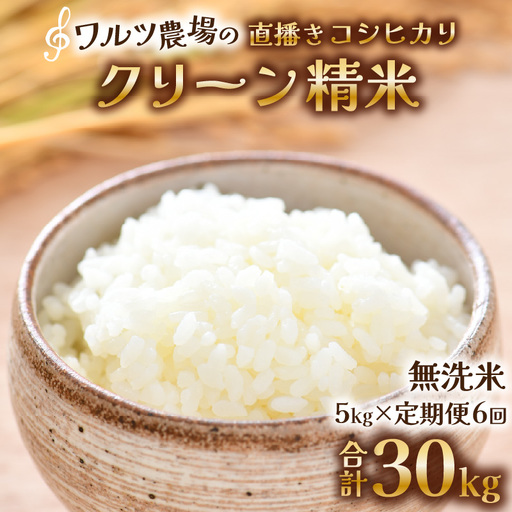 【先行予約】【令和8年産 新米】《定期便6回》ワルツ農場の直播き コシヒカリ クリーン精米（無洗米） 5kg（計30kg） / お米 ご飯 白米 発送直前 精米 つや 艶 甘味 旨み あわら市産 福井県産 慣行栽培 コメ 北陸 福井県 あわら市 こしひかり ※2026年11月上旬以降発送予定 [aw046-f003]