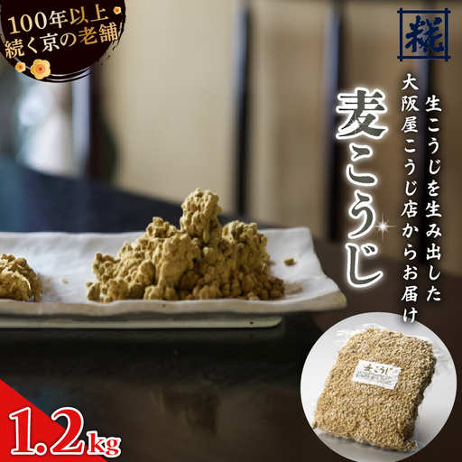 大阪屋こうじ店 麦こうじ 1升 (1.2kg) 麦麹 麦こうじ むぎこうじ 麹 塩麹 味噌 甘酒 国産 和食 発酵食品 冷蔵 京都府