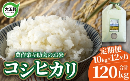 コシヒカリ 米 【12回定期便】合計120kg 令和7年 コシヒカリ コシヒカリ コシヒカリ