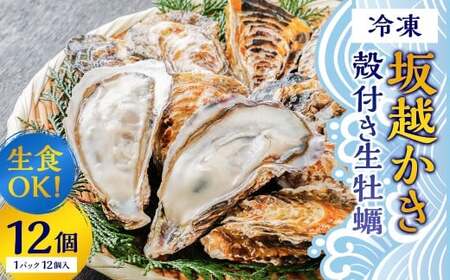生食OK 坂越かき 殻付き生牡蠣 12個入り [冷凍] カキ 牡蠣 かき 海の幸 魚介 貝