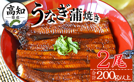 国産 うなぎ 蒲焼き 2尾 計200g以上 うなぎ fb-0142