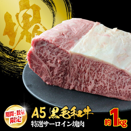 【期間・数量限定】大府市特産　A5黒毛和牛特選サーロイン塊肉　1.0kg