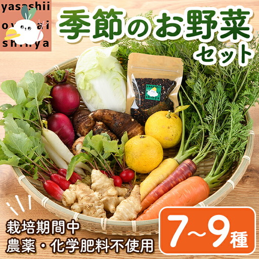 季節のお野菜 セット(7～9種) 野菜 やさい 詰合せ 詰め合わせ 季節 おまかせ お楽しみ【117000100】【しん屋】