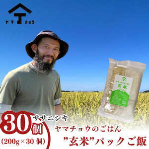 パックご飯 玄米ササニシキ ヤマチョウのごはん 秋田県産 パックご飯【200g×30個】