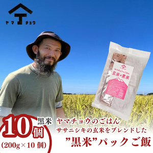 パックご飯 玄米黒米ブレンド ヤマチョウのごはん 秋田県産 パックご飯【200g×10個】