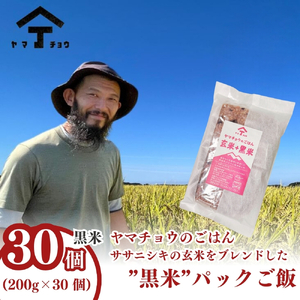 パックご飯 玄米黒米ブレンド ヤマチョウのごはん 秋田県産 パックご飯【200g×30個】