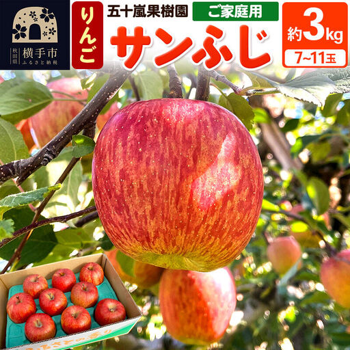 【先行受付】12月中旬より発送 サンふじ【ご家庭向け】約3kg（7～11玉）りんご 林檎