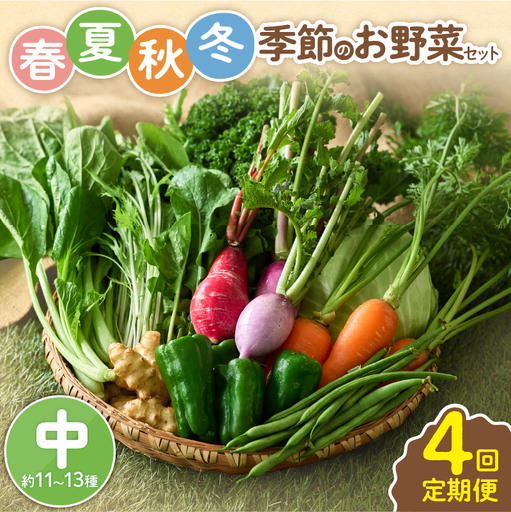 【全４回定期便】春夏秋冬 季節のお野菜セット（サイズ中）約11～13種  宮崎県産 野菜定期便 詰め合わせ 新鮮 野菜 産地直送 野菜セット 農家直送 有機栽培 送料無料 【オーガニックのまち 宮崎県綾町】_A0053-014