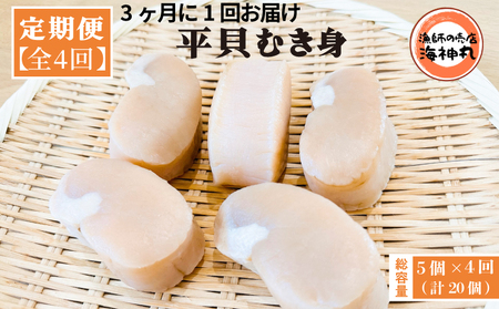 【3ヶ月毎定期便】 平貝 (タイラギ) 全4回 5個×4回 20個 冷凍 平貝 タイラギ 貝 魚貝類 魚貝 タイラガイ 魚介 貝類 冷凍