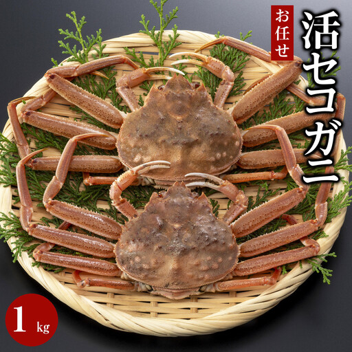 【魚倉】活お任せセコガニ1kgセット