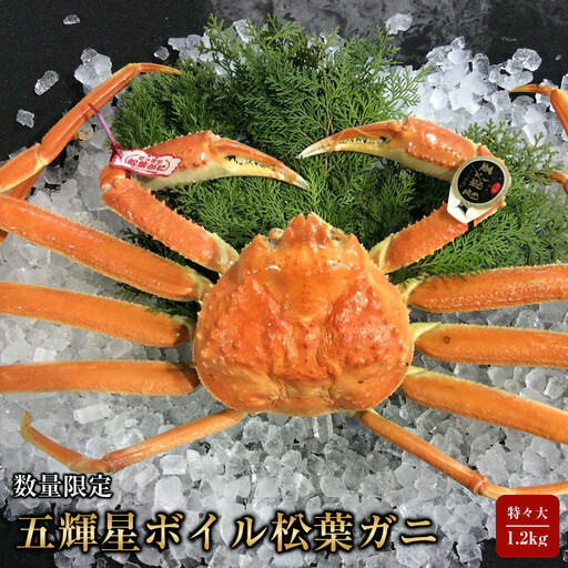 【魚倉】五輝星ボイル松葉ガニ(特々大1.2kg)数量限定品